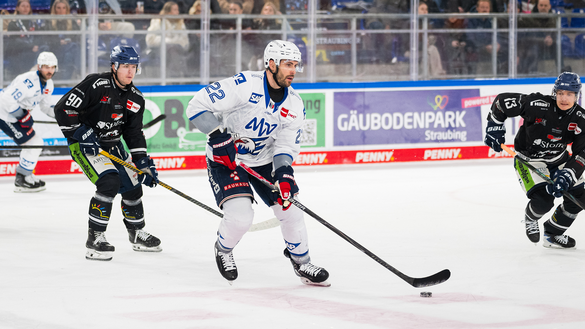 Straubing Tigers gg. Adler Mannheim